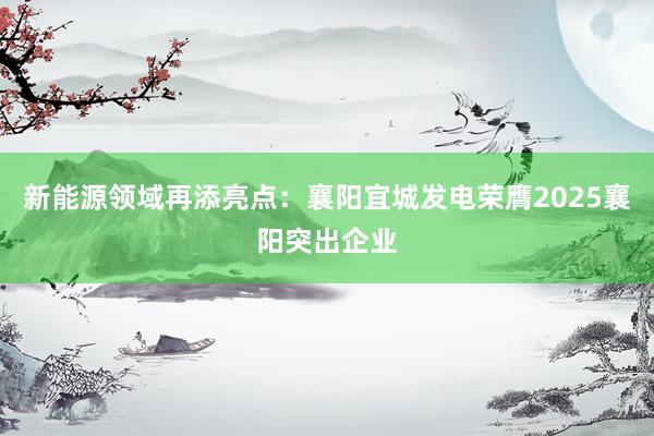 新能源领域再添亮点：襄阳宜城发电荣膺2025襄阳突出企业