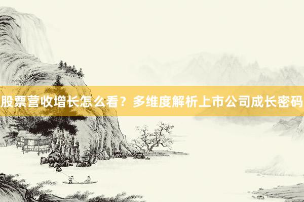 股票营收增长怎么看？多维度解析上市公司成长密码