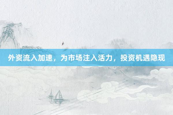 外资流入加速,为市场注入活力,投资机遇隐现