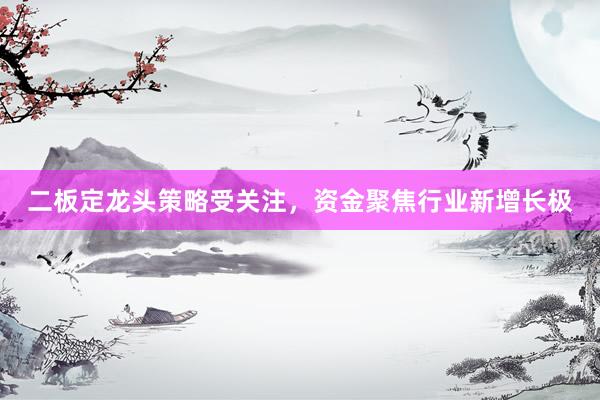 二板定龙头策略受关注,资金聚焦行业新增长极