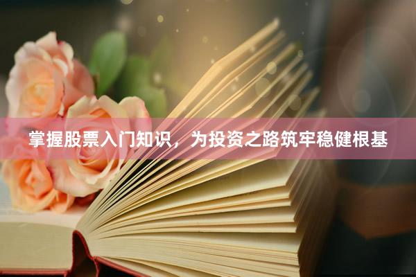 掌握股票入门知识，为投资之路筑牢稳健根基