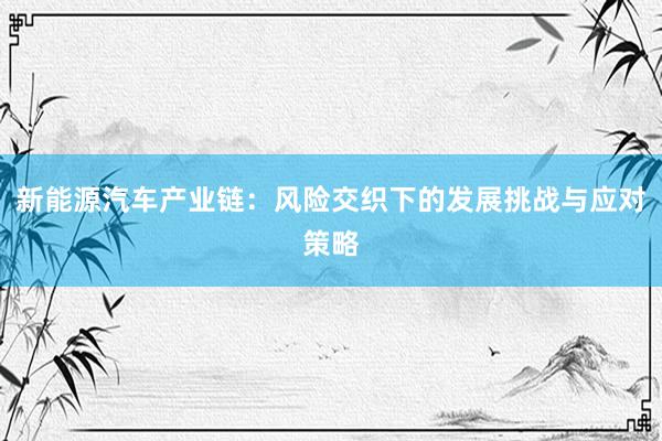新能源汽车产业链：风险交织下的发展挑战与应对策略