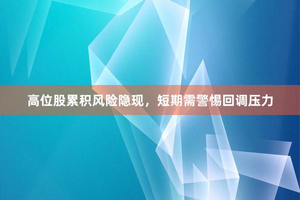 高位股累积风险隐现,短期需警惕回调压力