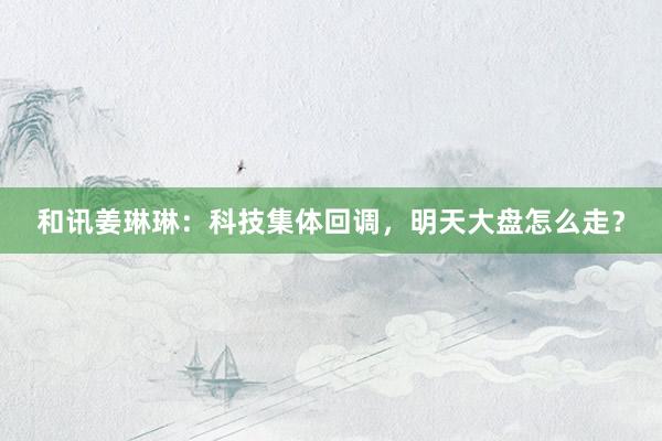 和讯姜琳琳:科技集体回调,明天大盘怎么走?