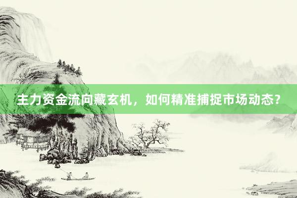 主力资金流向藏玄机，如何精准捕捉市场动态？