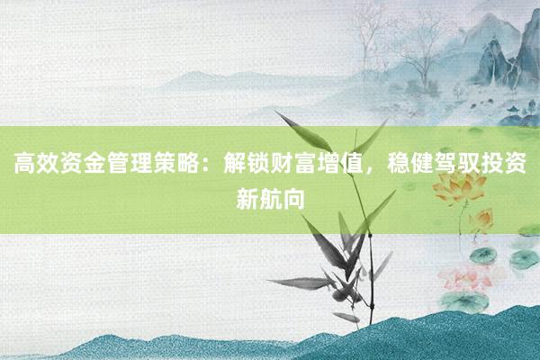高效资金管理策略：解锁财富增值，稳健驾驭投资新航向