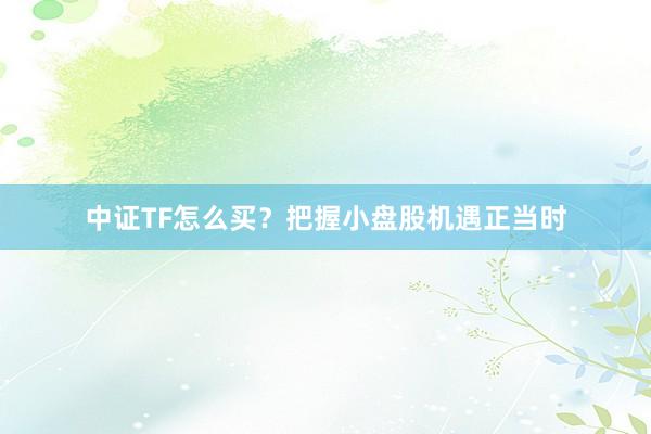 中证TF怎么买？把握小盘股机遇正当时