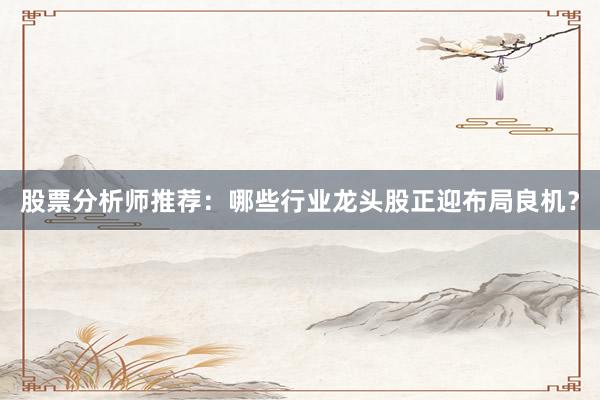 股票分析师推荐：哪些行业龙头股正迎布局良机？