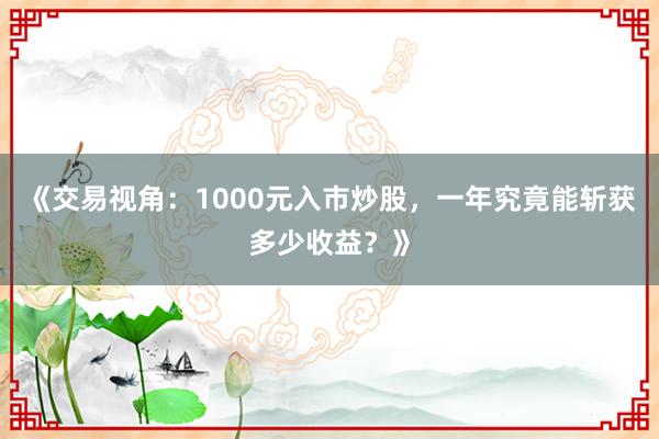 《交易视角：1000元入市炒股，一年究竟能斩获多少收益？》