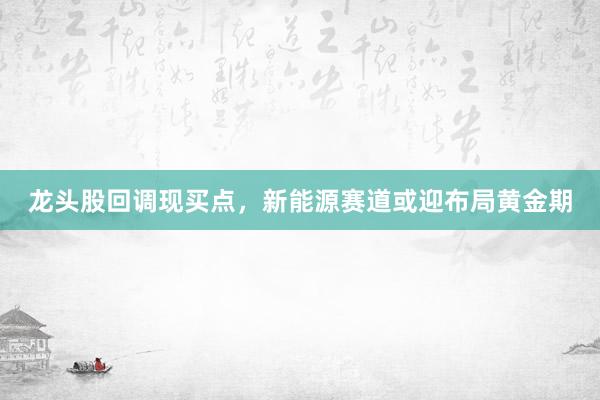 龙头股回调现买点，新能源赛道或迎布局黄金期