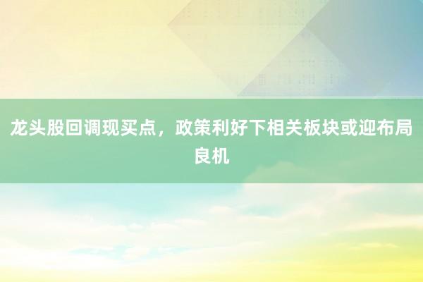 龙头股回调现买点，政策利好下相关板块或迎布局良机