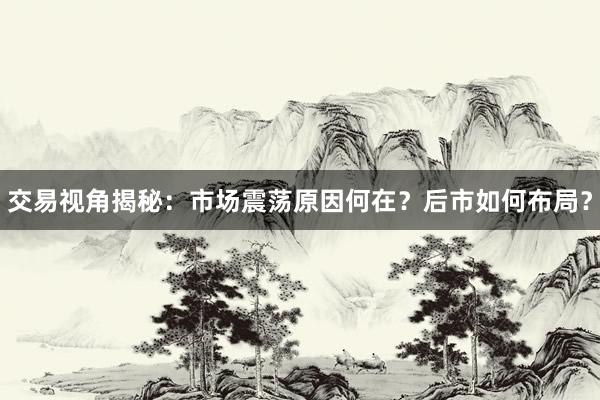 交易视角揭秘：市场震荡原因何在？后市如何布局？