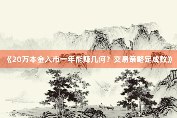 《20万本金入市一年能赚几何？交易策略定成败》