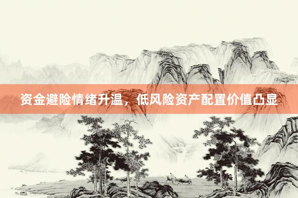 资金避险情绪升温，低风险资产配置价值凸显