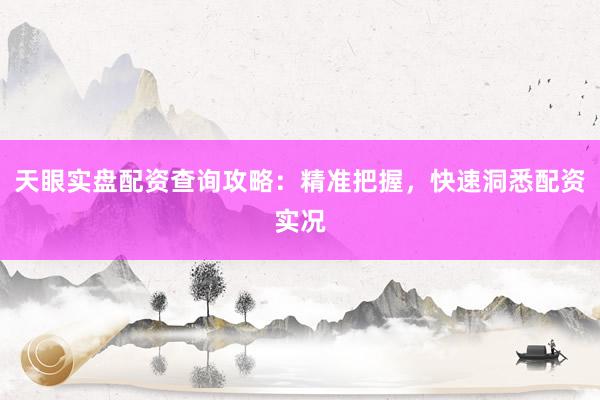天眼实盘配资查询攻略：精准把握，快速洞悉配资实况