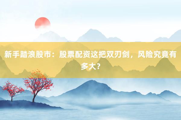 新手踏浪股市：股票配资这把双刃剑，风险究竟有多大？
