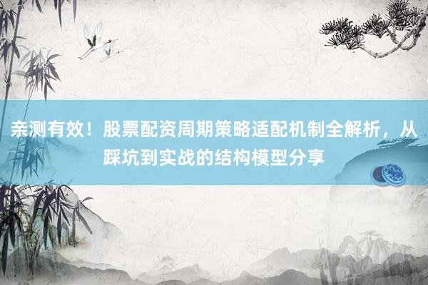 亲测有效！股票配资周期策略适配机制全解析，从踩坑到实战的结构模型分享
